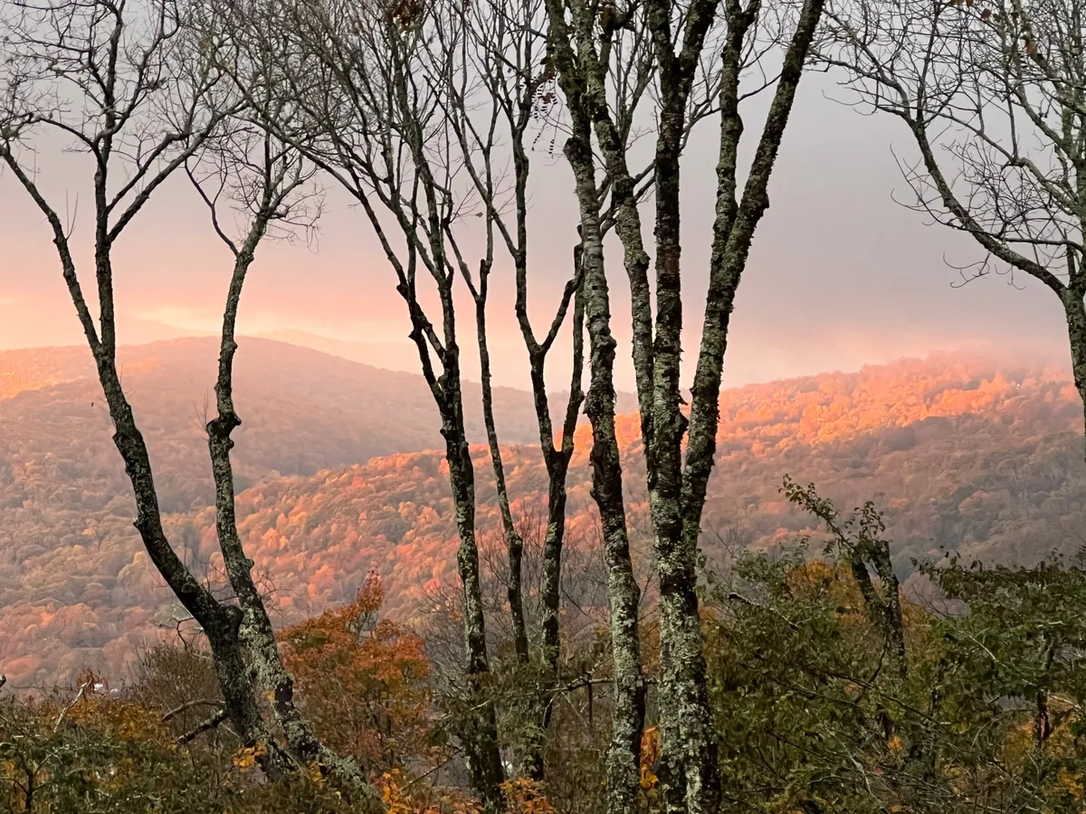 A sweeping view of trees and mountains under the warm glow of a sunset, evoking a sense of peace and connection with nature. The open sky and expansive scenery invite guests to immerse themselves in the beauty surrounding the lodge.